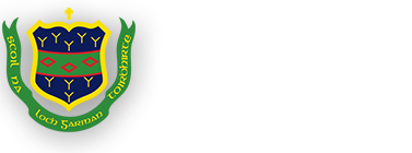 the presentation wexford